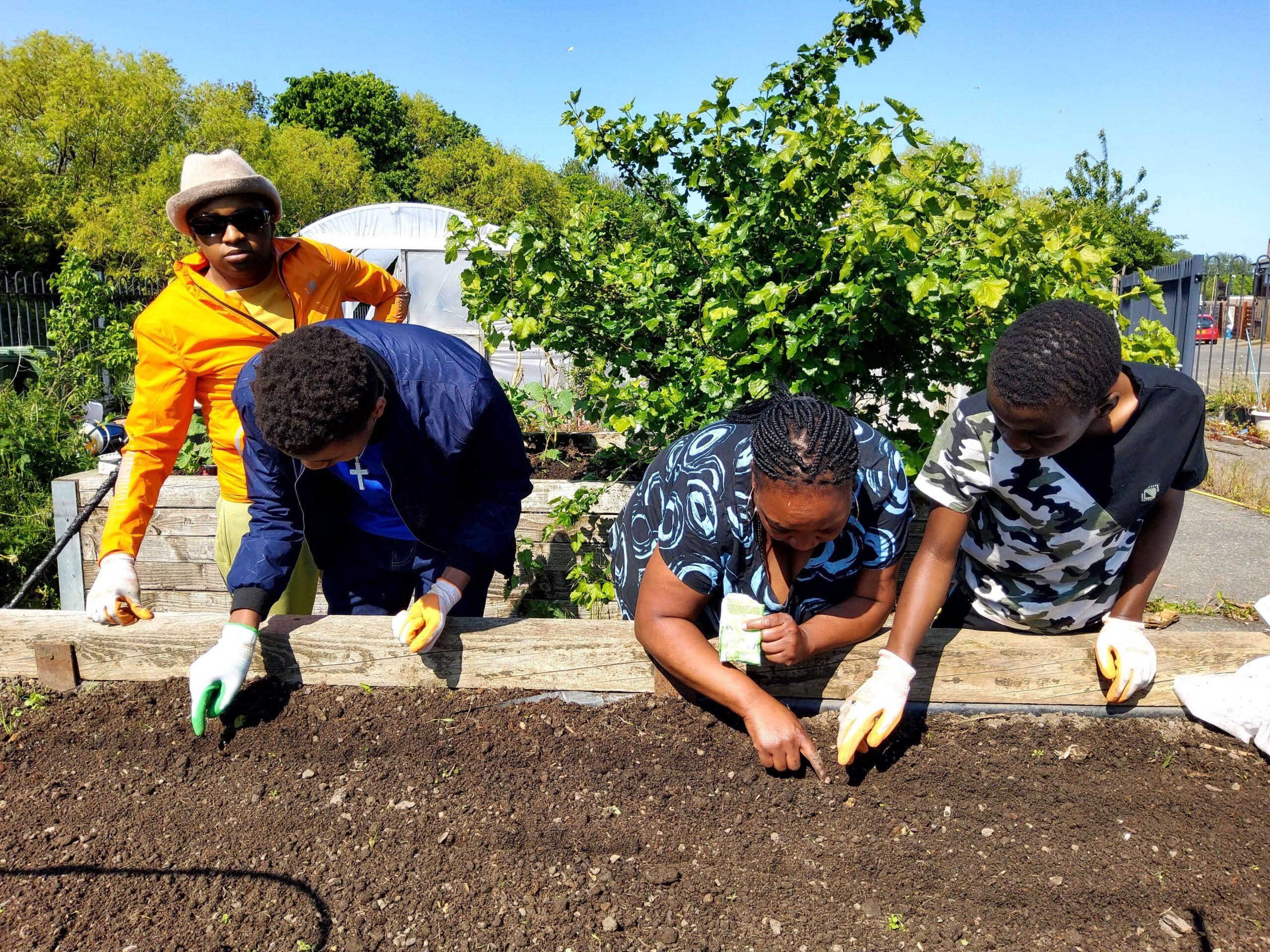 Website Gardening photo-children with Tendai